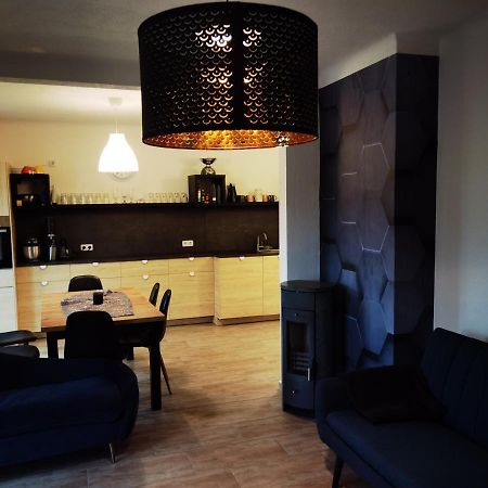 Modernes Behagliches Haus Mit Kamin, Terrasse Und Garten マクデブルク エクステリア 写真