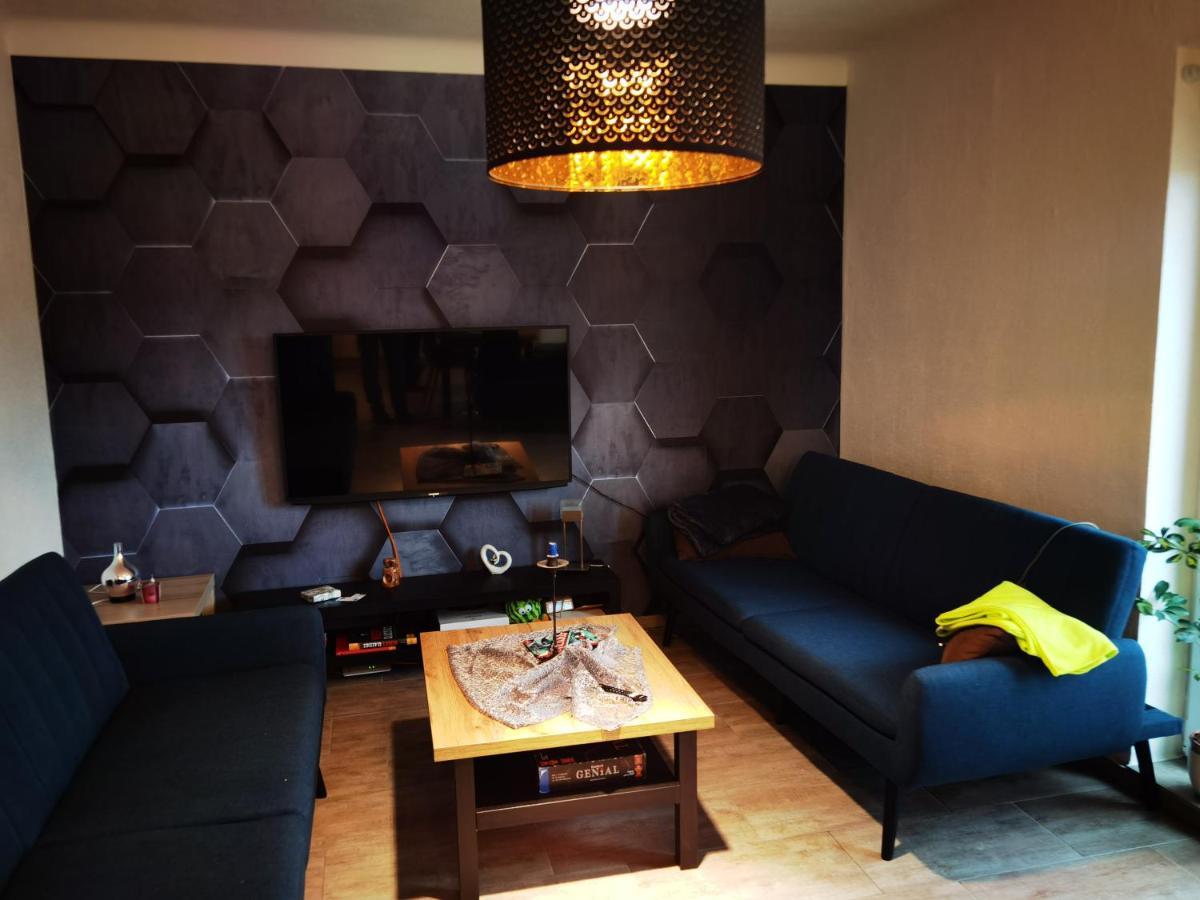 Modernes Behagliches Haus Mit Kamin, Terrasse Und Garten マクデブルク エクステリア 写真
